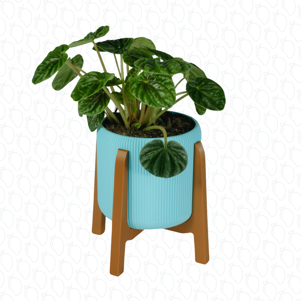 Mini Melmond (Seafoam)