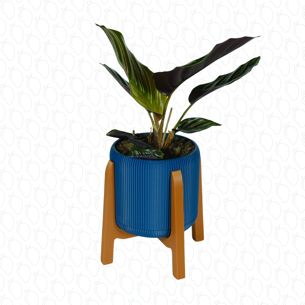 Mini Melmond (Midnight)