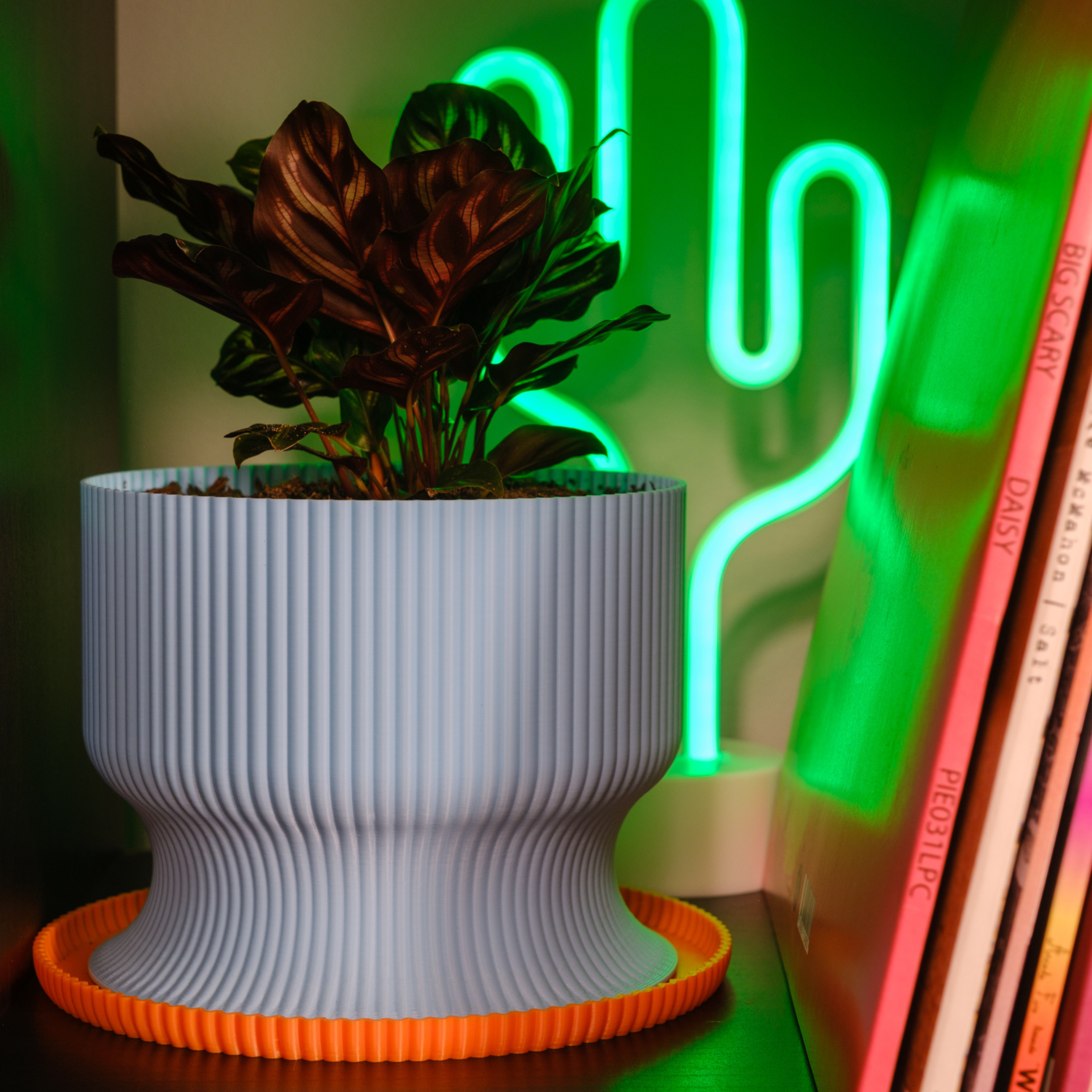 Lexten (Blue & Orange)