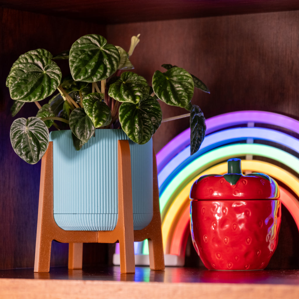 Mini Melmond (Seafoam)